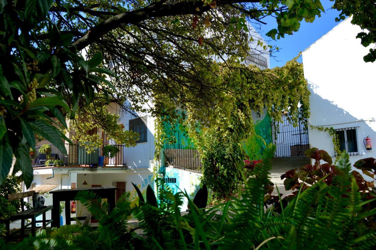 Ecoalbergue Rural De Algodonales Extérieur photo