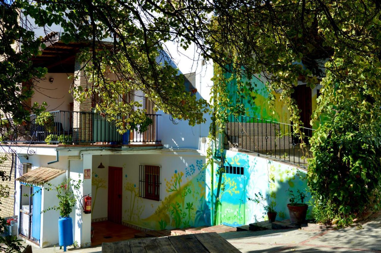 Ecoalbergue Rural De Algodonales Extérieur photo