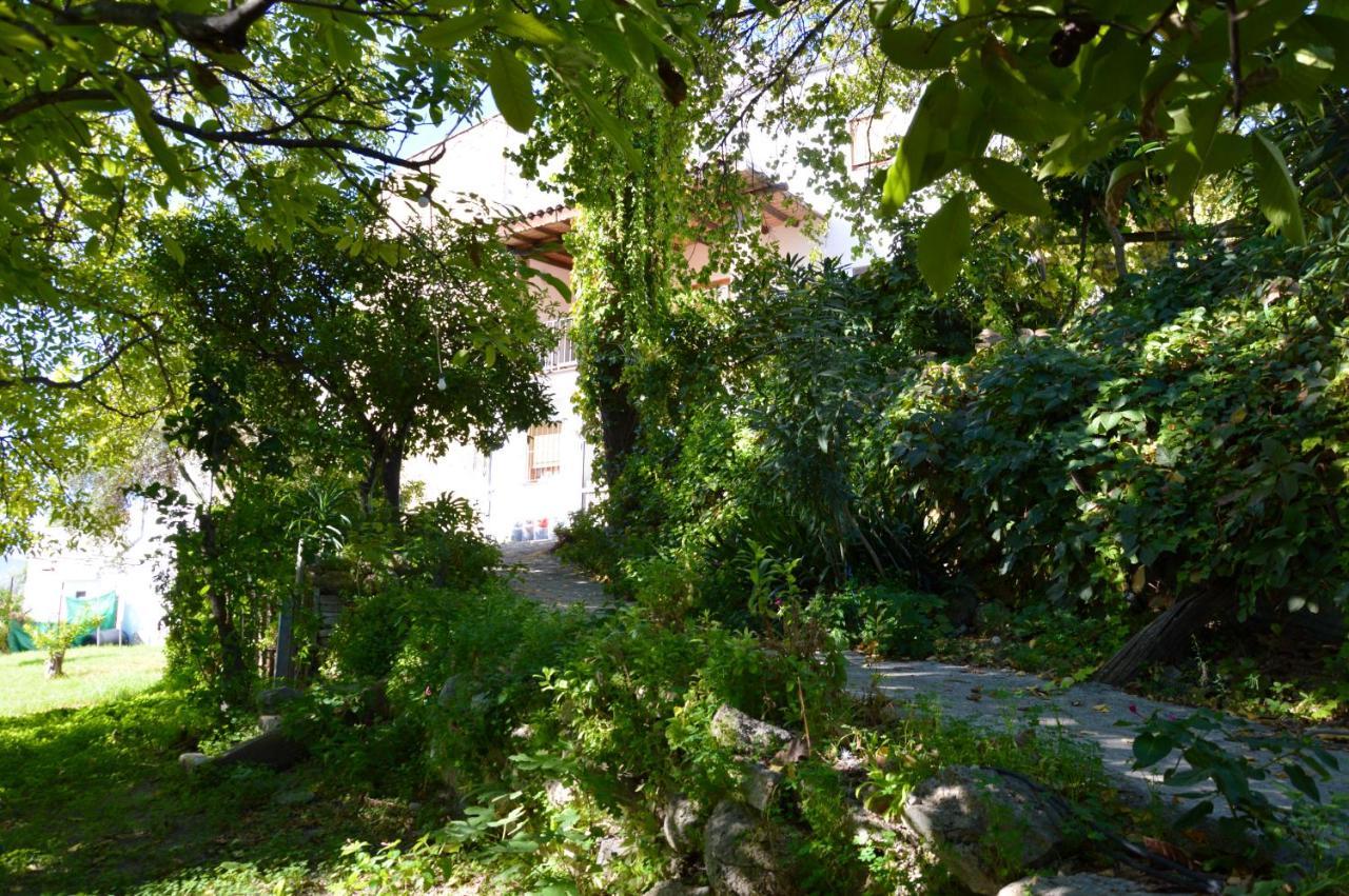 Ecoalbergue Rural De Algodonales Extérieur photo